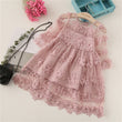 Children's Dress Embroidered Mesh Tulle Tutu Dress Skirt