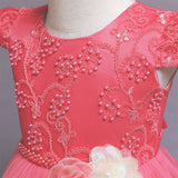 Girls Wedding Dress Princess Dress Flower Girl Fluffy Host