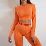 Seamless Yoga Pants Sports Gym Fitness Leggings Or Long Sleeve Tops Outfits Butt Lifting Slim Workout Sportswear Clothing - AL MONI EXPRESS